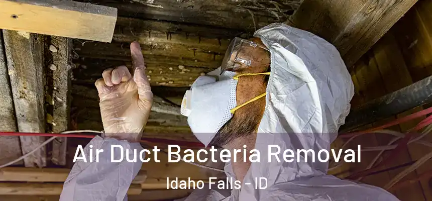  Air Duct Bacteria Removal Idaho Falls - ID