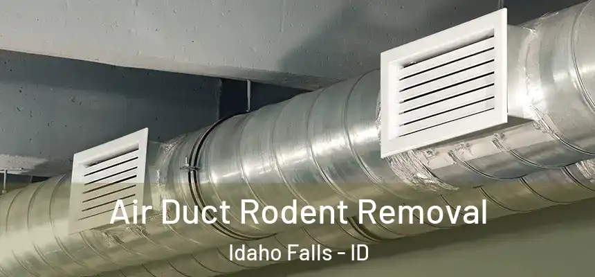  Air Duct Rodent Removal Idaho Falls - ID
