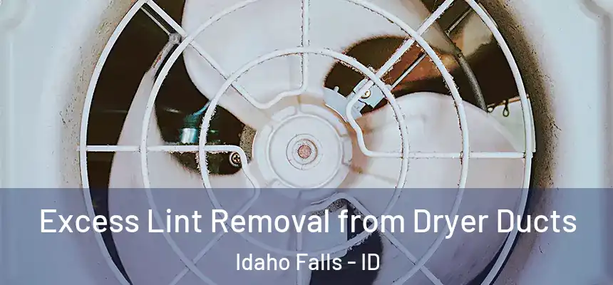  Excess Lint Removal from Dryer Ducts Idaho Falls - ID