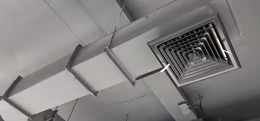 Our Pest Removal From Ducts Services in Idaho Falls, ID