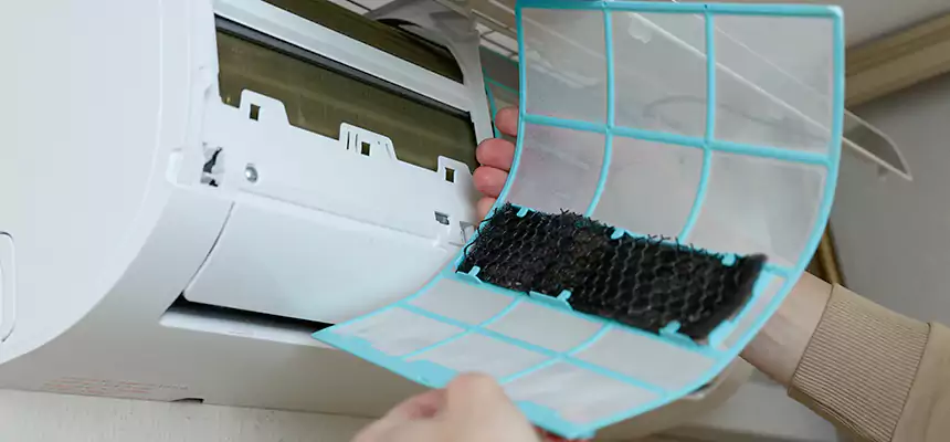 Gentle Ductwork Odor-Control Pet Dander Duct Cleaning in Idaho Falls, ID