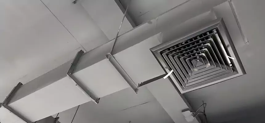 Our Rodent Droppings In Vents Services in Idaho Falls, ID