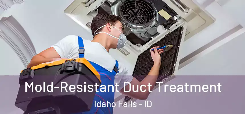  Mold-Resistant Duct Treatment Idaho Falls - ID