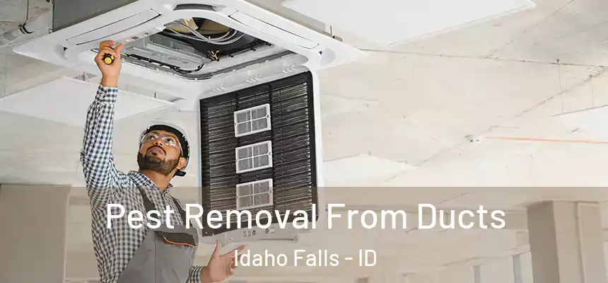  Pest Removal From Ducts Idaho Falls - ID