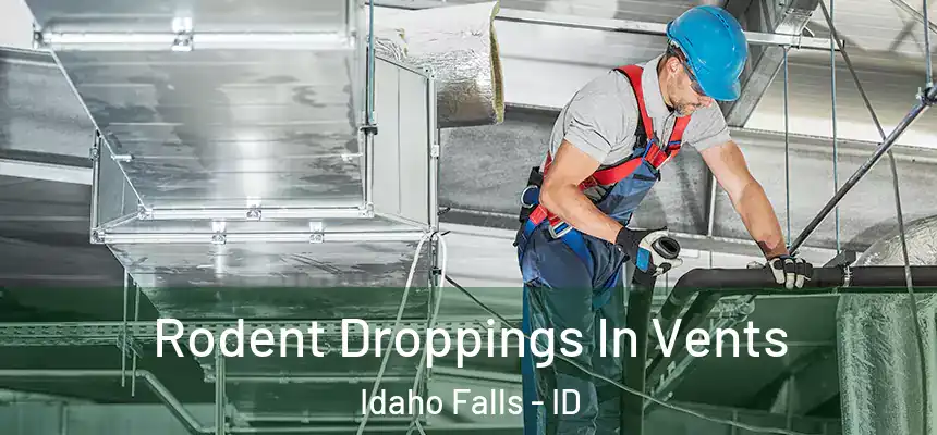  Rodent Droppings In Vents Idaho Falls - ID
