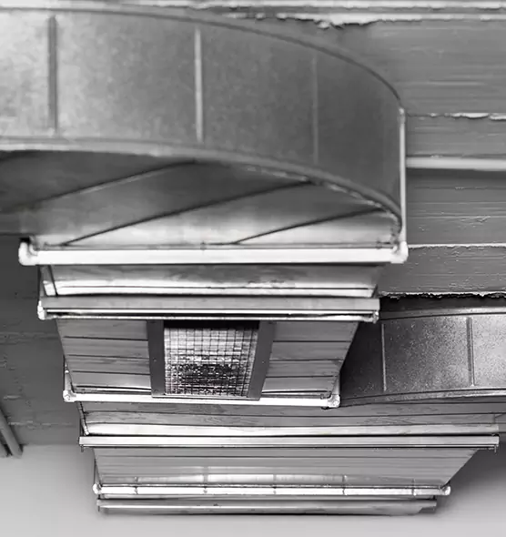 Professional Air Duct Pet Hair Removal in Idaho Falls, ID