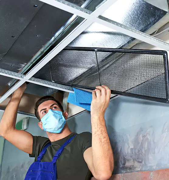 Professional Air Duct Pollen Cleaning in Idaho Falls, ID